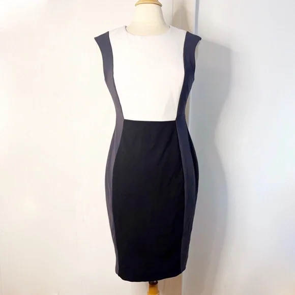 SOLD Calvin Klein Colorblock Sleeveless Sheath Dress Black Gray 6 Small Stretchy - Picture 1 of 8